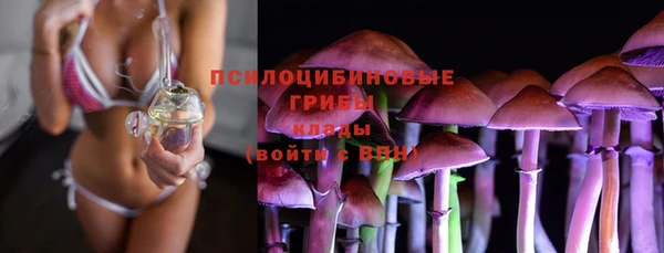 каннабис Богородицк